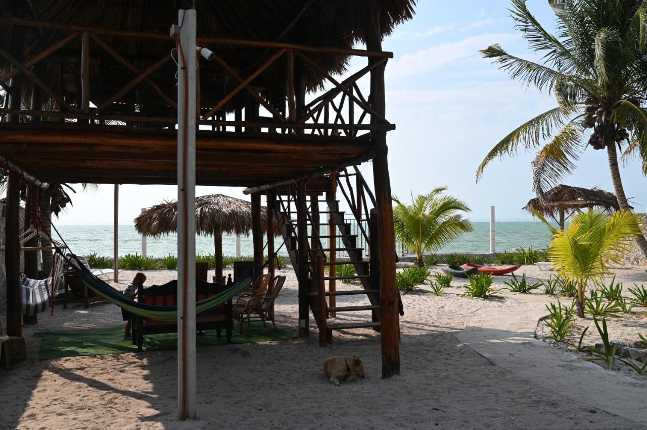 La Casa Del Mexicano Celestun Kültér fotó